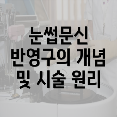 눈썹문신 반영구의 개념 및 시술 원리