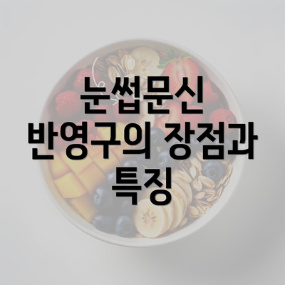 눈썹문신 반영구의 장점과 특징