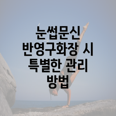 눈썹문신 반영구화장 시 특별한 관리 방법