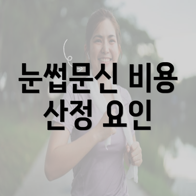 눈썹문신 비용 산정 요인