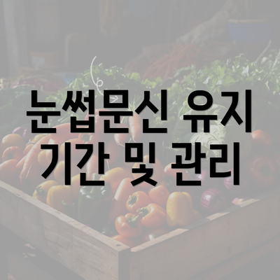 눈썹문신 유지 기간 및 관리