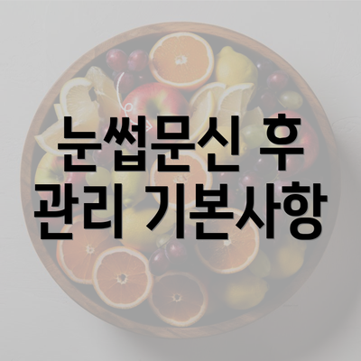 눈썹문신 후 관리 기본사항