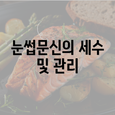 눈썹문신의 세수 및 관리