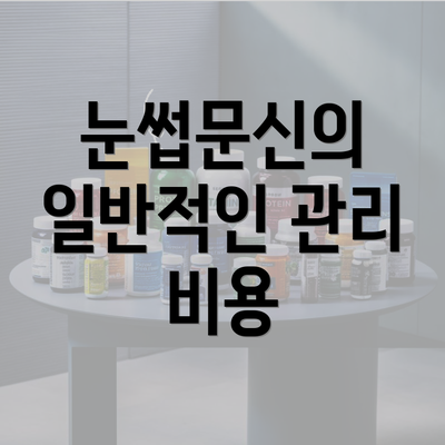 눈썹문신의 일반적인 관리 비용