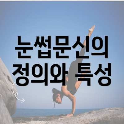 눈썹문신의 정의와 특성