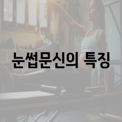 눈썹문신의 특징