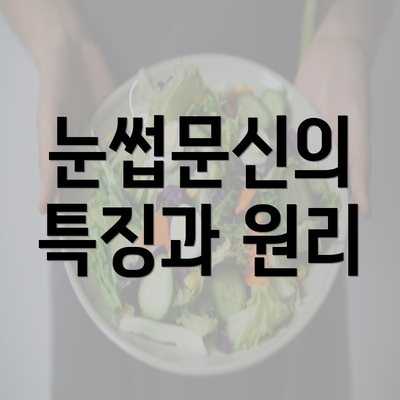 눈썹문신의 특징과 원리