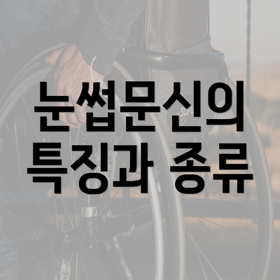 눈썹문신의 특징과 종류