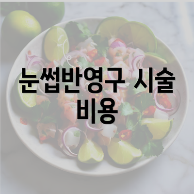 눈썹반영구 시술 비용