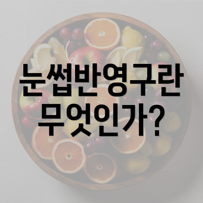 눈썹반영구란 무엇인가?