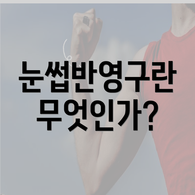 눈썹반영구란 무엇인가?