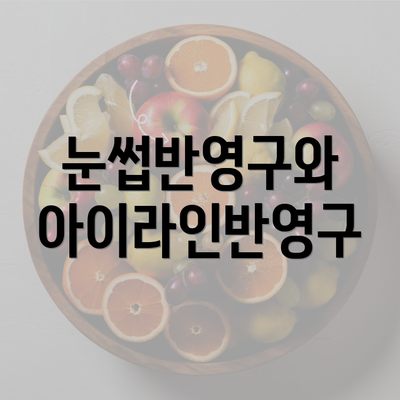 눈썹반영구와 아이라인반영구