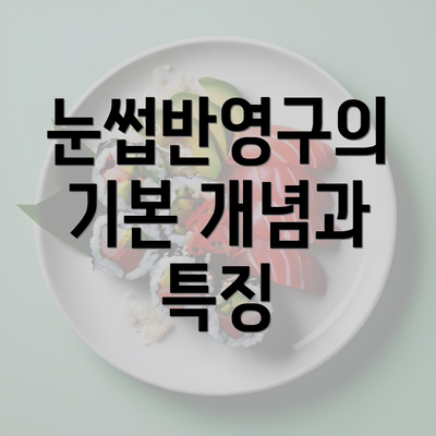 눈썹반영구의 기본 개념과 특징