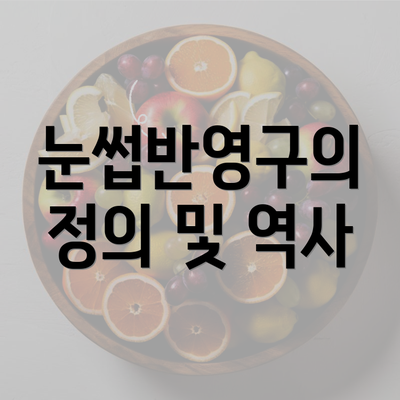 눈썹반영구의 정의 및 역사