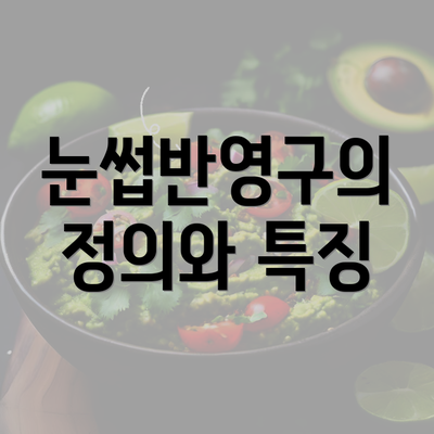 눈썹반영구의 정의와 특징