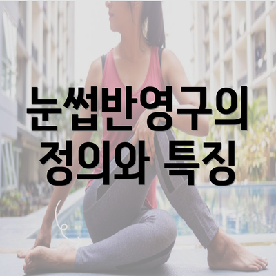 눈썹반영구의 정의와 특징