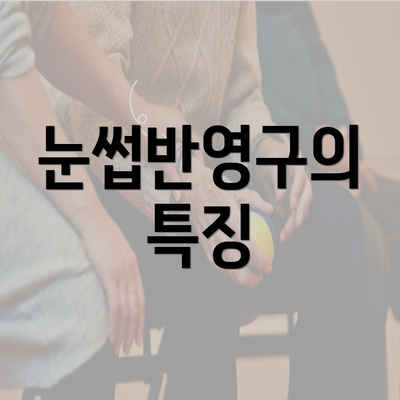 눈썹반영구의 특징