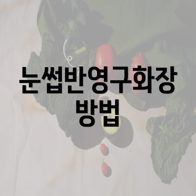 눈썹반영구화장 방법