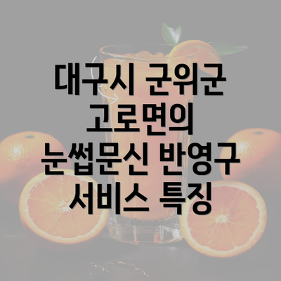 대구시 군위군 고로면의 눈썹문신 반영구 서비스 특징