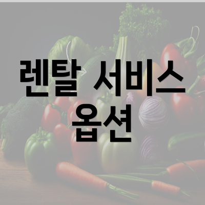 렌탈 서비스 옵션