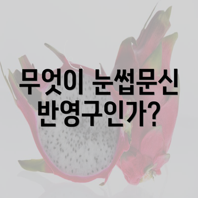 무엇이 눈썹문신 반영구인가?