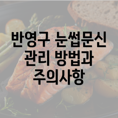 반영구 눈썹문신 관리 방법과 주의사항