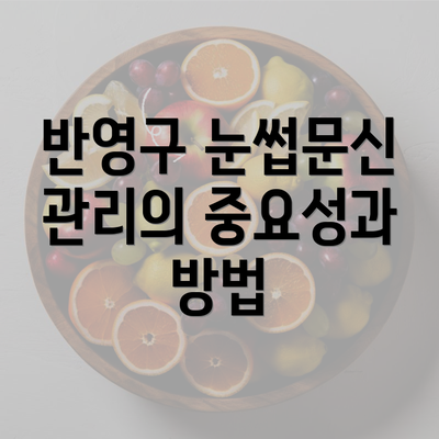 반영구 눈썹문신 관리의 중요성과 방법