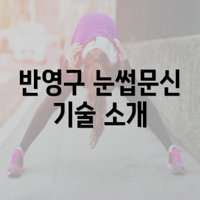 반영구 눈썹문신 기술 소개