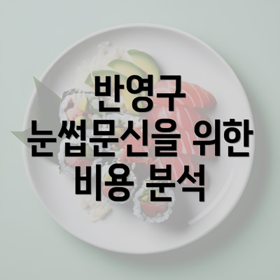 반영구 눈썹문신을 위한 비용 분석