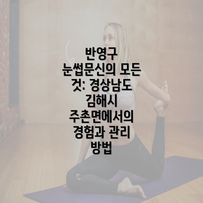 반영구 눈썹문신의 모든 것: 경상남도 김해시 주촌면에서의 경험과 관리 방법