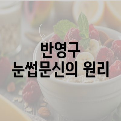 반영구 눈썹문신의 원리