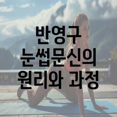 반영구 눈썹문신의 원리와 과정