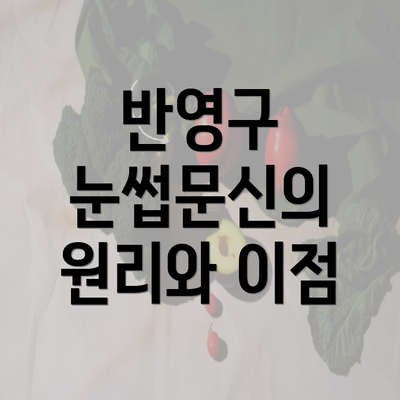 반영구 눈썹문신의 원리와 이점