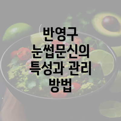 반영구 눈썹문신의 특성과 관리 방법