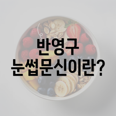 반영구 눈썹문신이란?