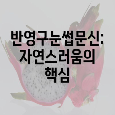 반영구눈썹문신: 자연스러움의 핵심