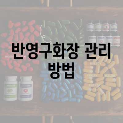 반영구화장 관리 방법