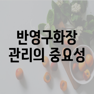 반영구화장 관리의 중요성