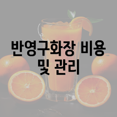 반영구화장 비용 및 관리