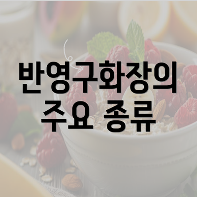 반영구화장의 주요 종류