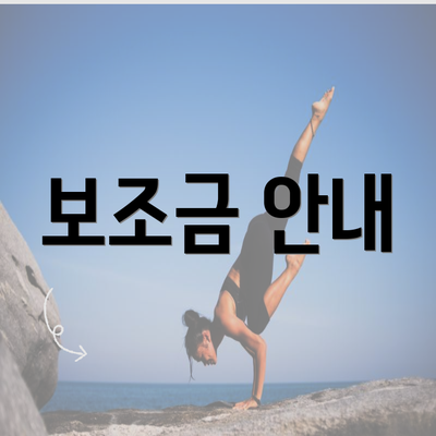 보조금 안내