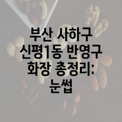 부산 사하구 신평1동 반영구 화장 총정리: 눈썹