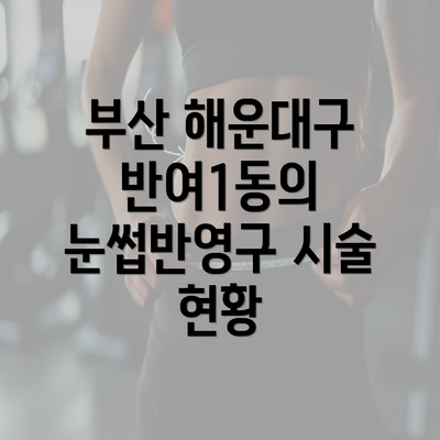 부산 해운대구 반여1동의 눈썹반영구 시술 현황