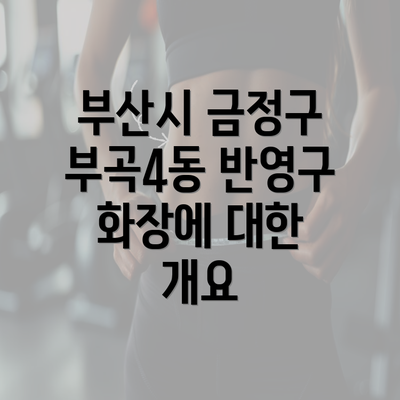 부산시 금정구 부곡4동 반영구 화장에 대한 개요