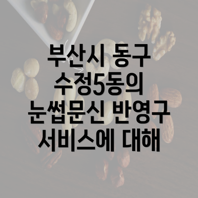 부산시 동구 수정5동의 눈썹문신 반영구 서비스에 대해