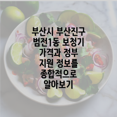 부산시 부산진구 범전1동 보청기 가격과 정부 지원 정보를 종합적으로 알아보기