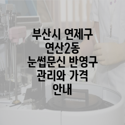 부산시 연제구 연산2동 눈썹문신 반영구 관리와 가격 안내