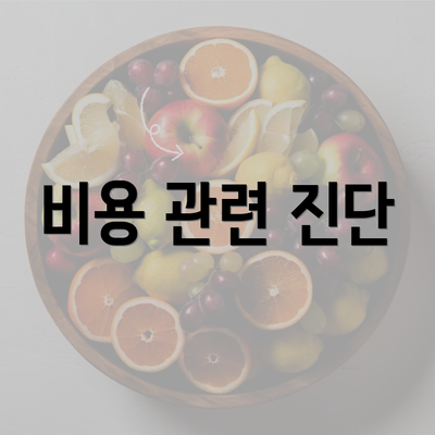 비용 관련 진단