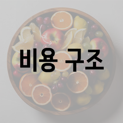 비용 구조