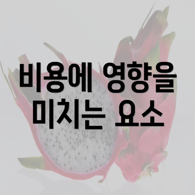 비용에 영향을 미치는 요소